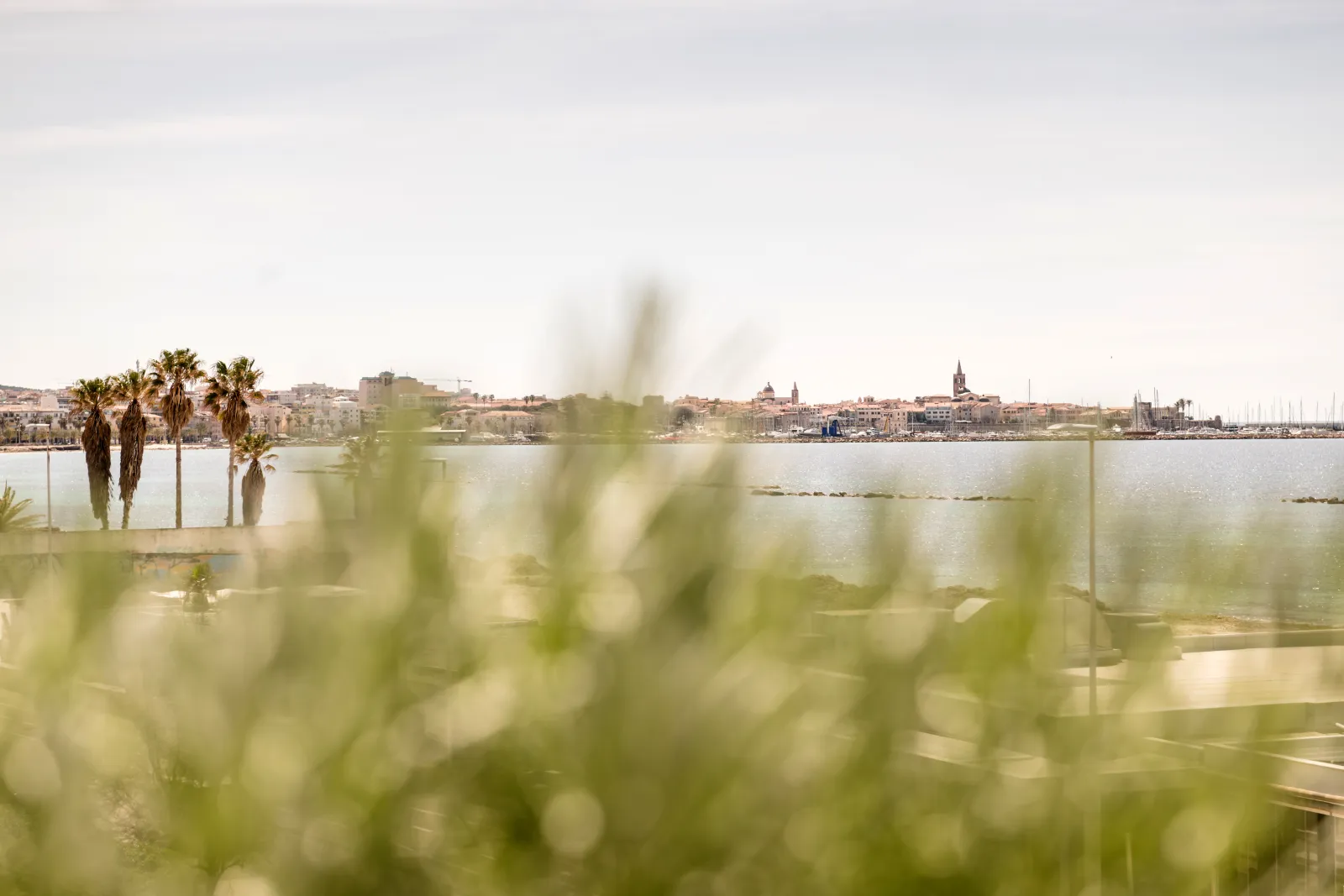 Vista su Alghero dalla terrazza